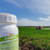 Primjena herbicida XANADU u usjevu pšenice