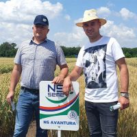 Dani polja strnih žita, krmnog bilja i uljane repice Novi Sad